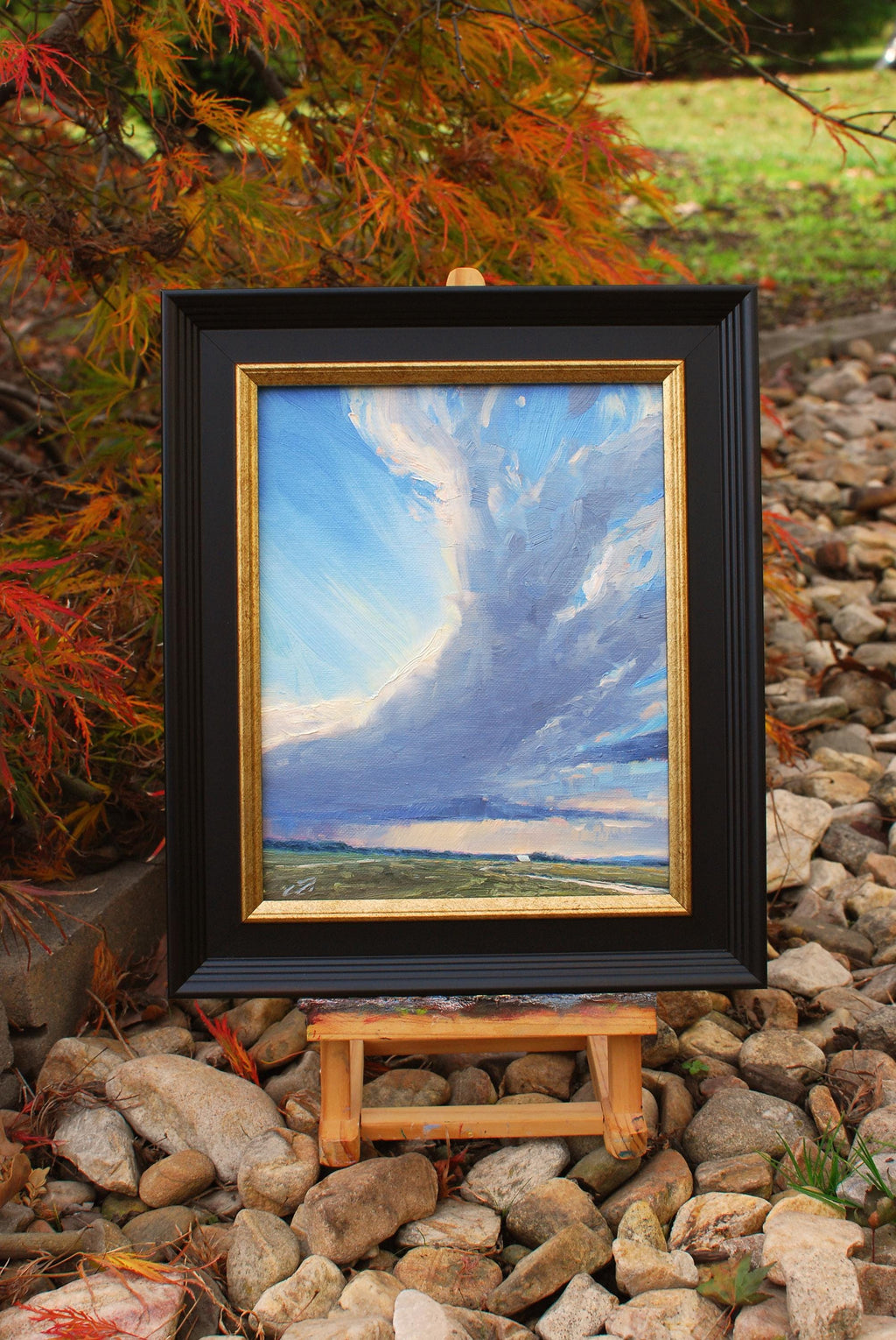 Wings of the Wind, 8x10 oil