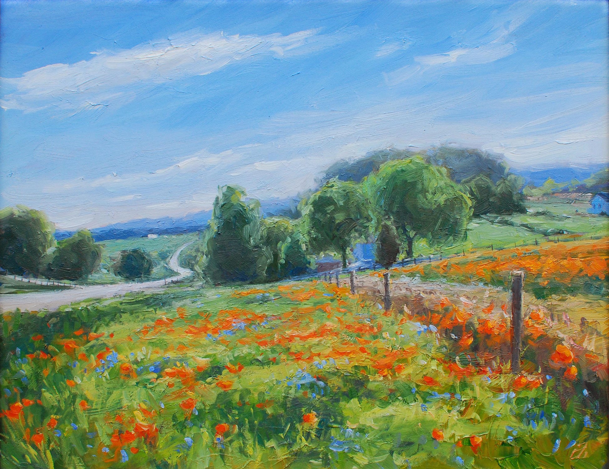 Sommerset Poppies, 16x20 oil