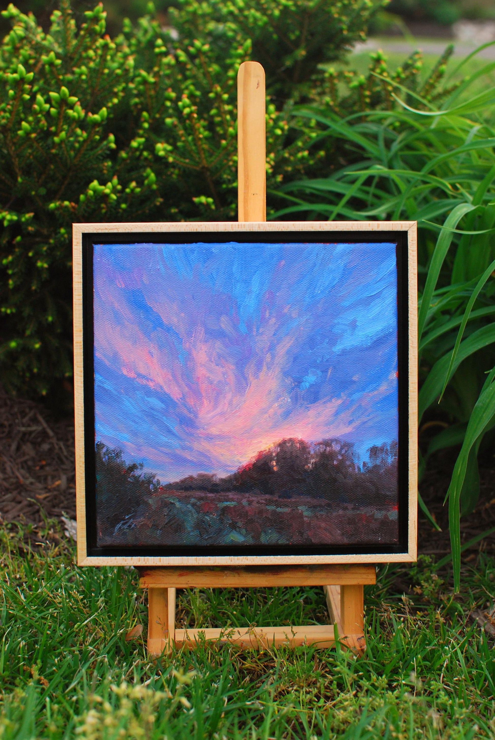 Wings of the Morning, 8x8, oil