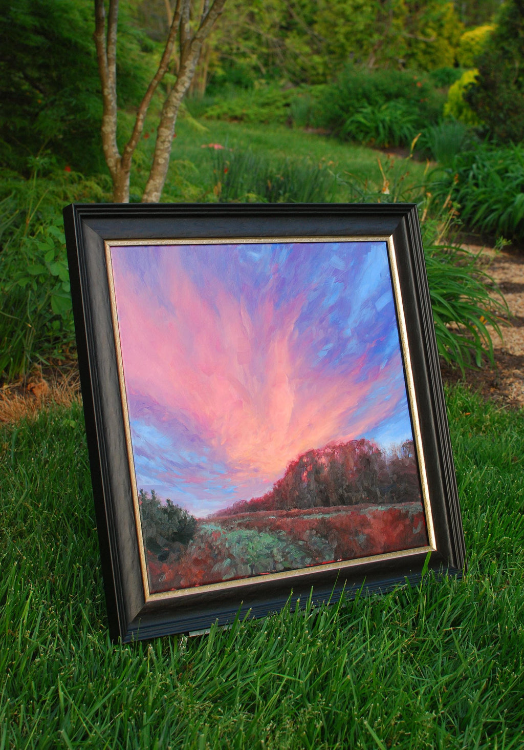 Wings of the Morning, 20x20, oil