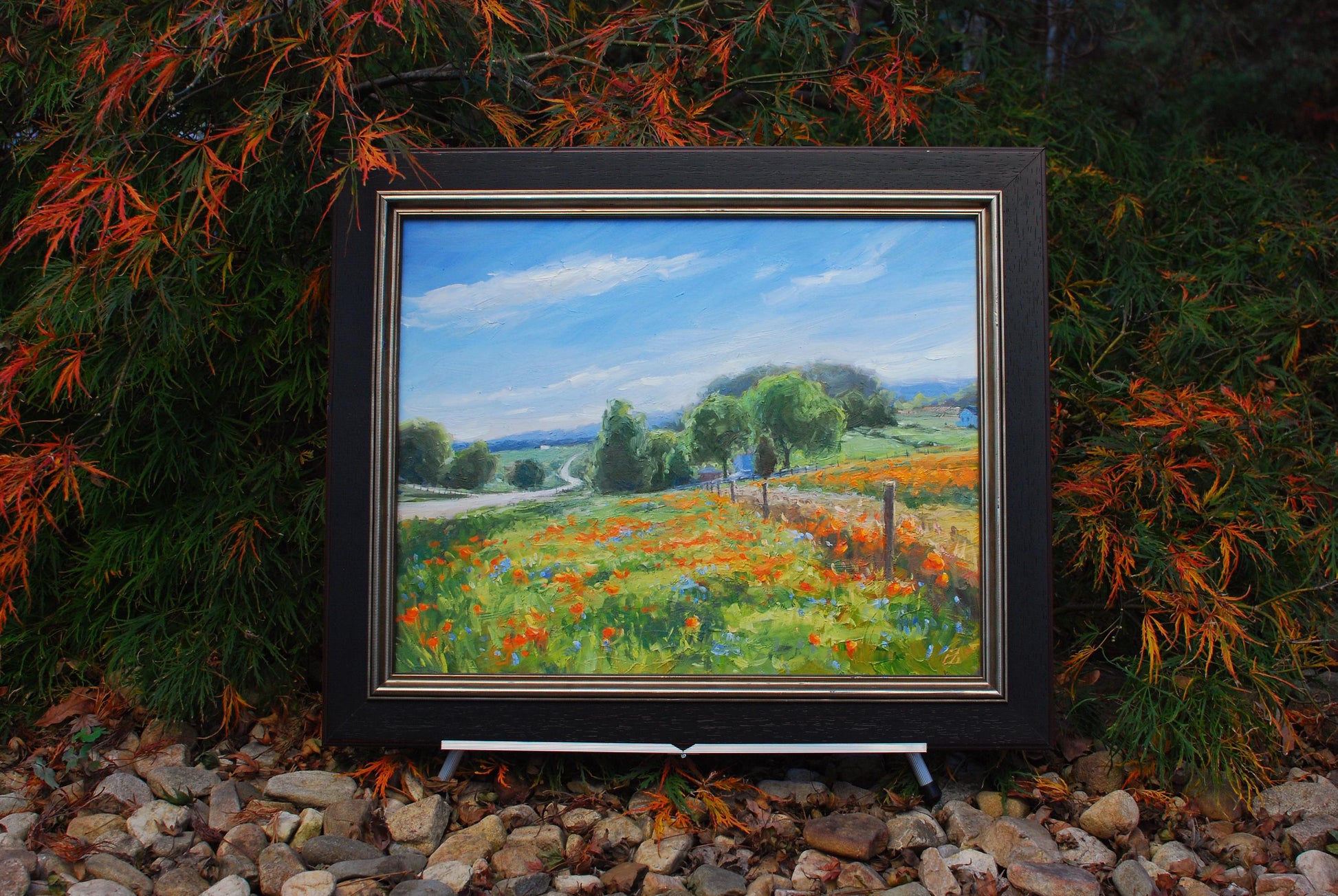 Sommerset Poppies, 16x20 oil