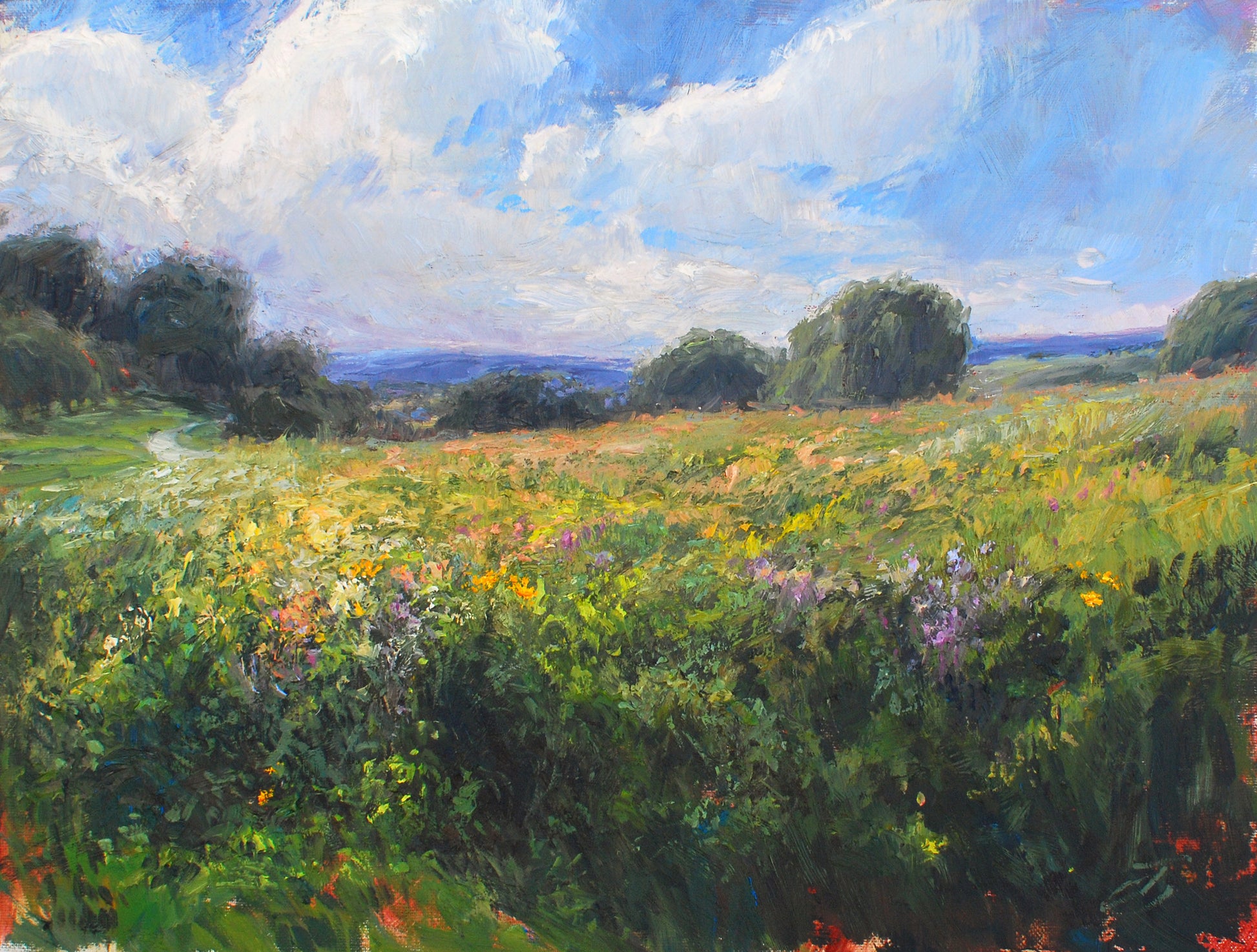 Consider the Lilies, 9x12