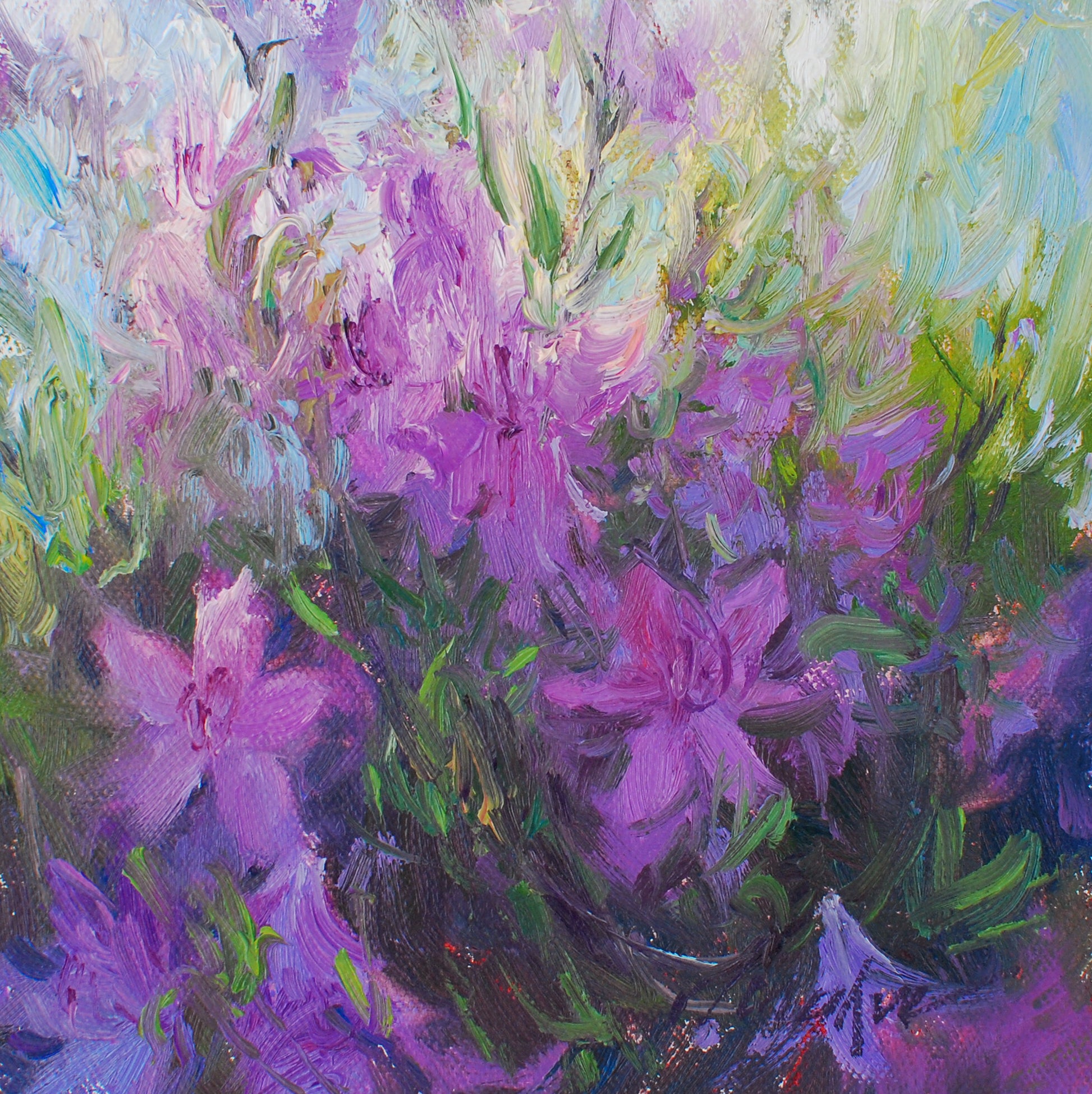 Spring Frenzy (Study 1), 6x6