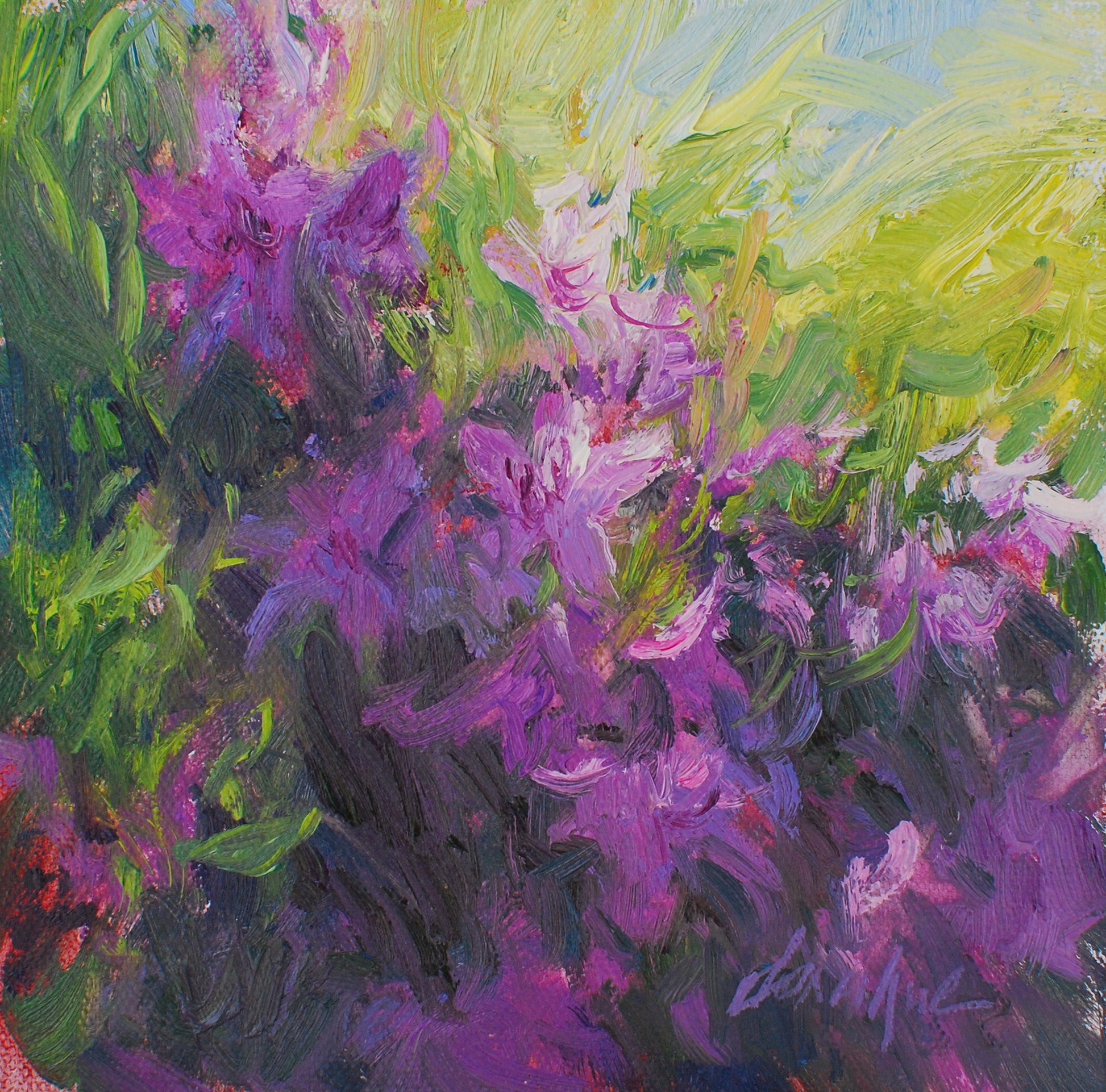 Spring Frenzy (Study 2), 6x6