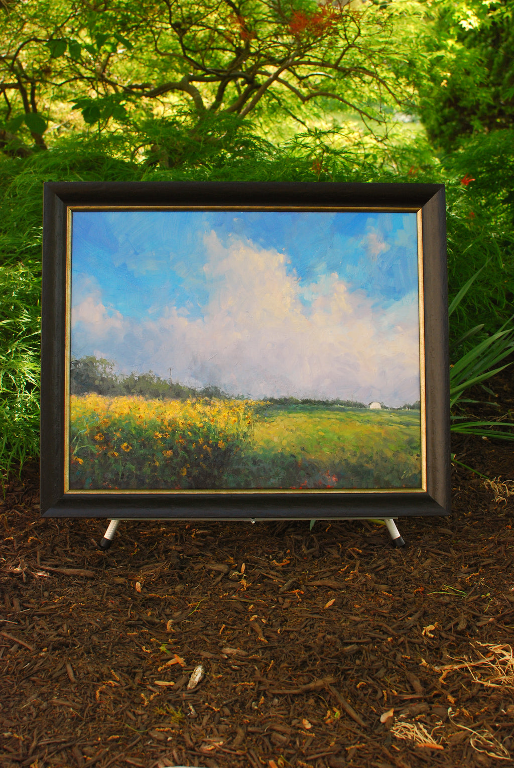 Summer Song, 16x20, oil