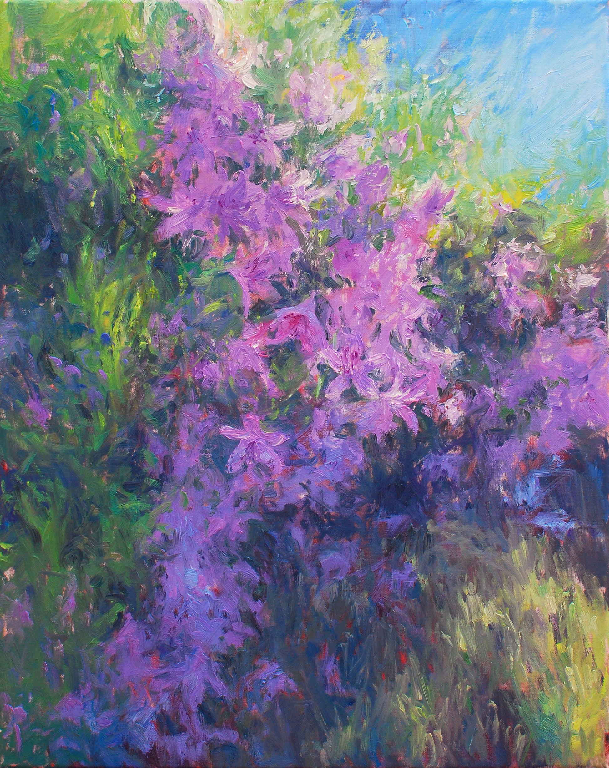 The Frenzy of Spring, 16x20