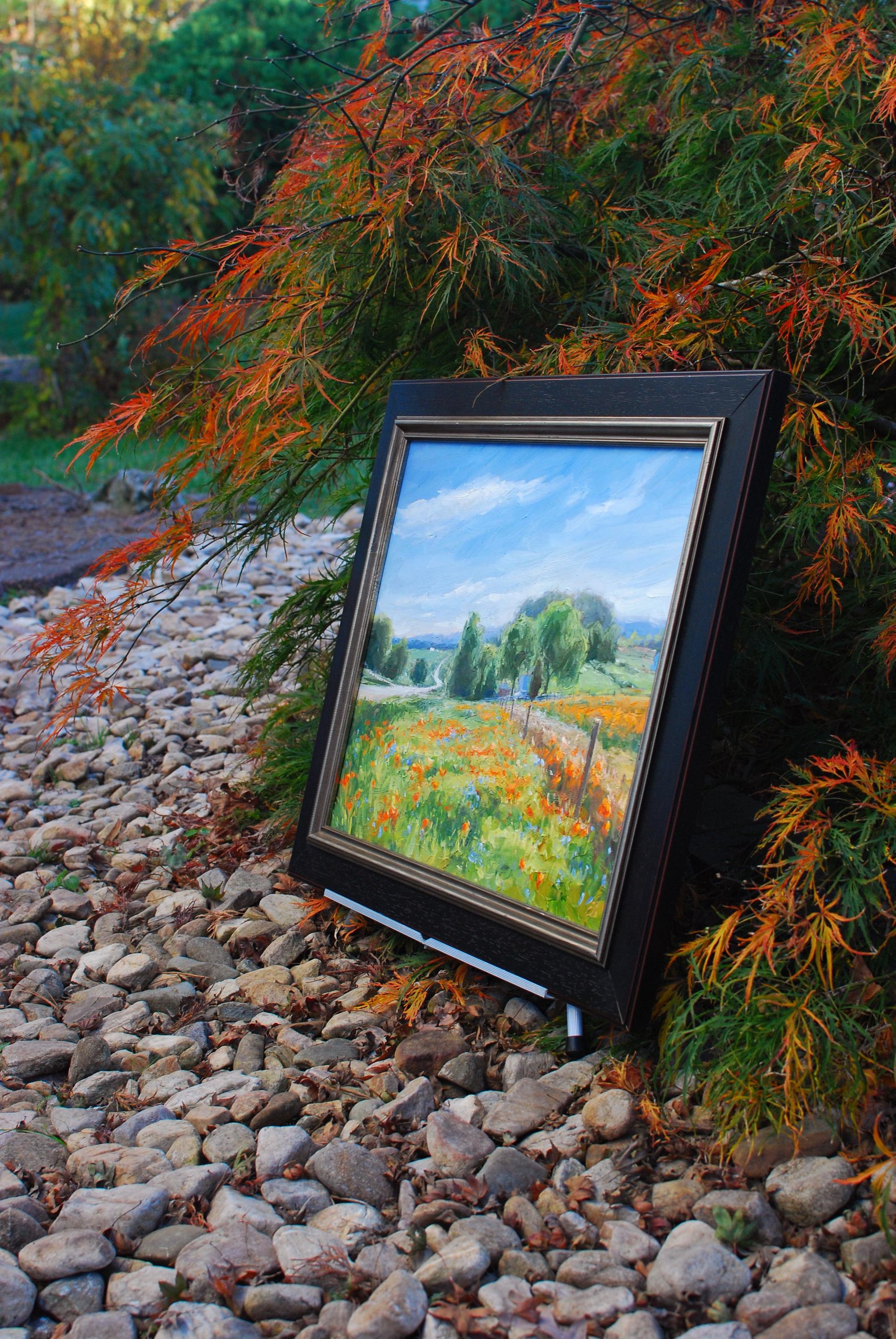 Sommerset Poppies, 16x20 oil